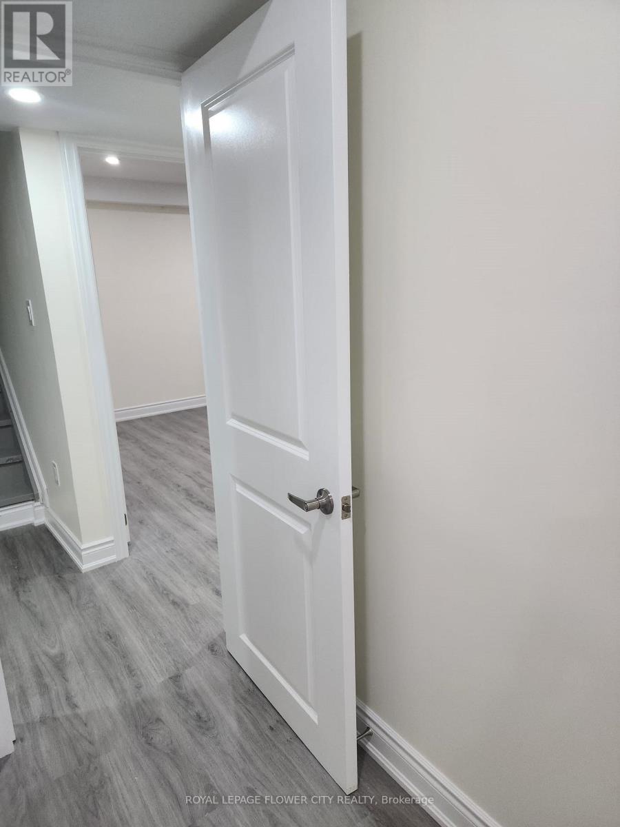 Bsmnt - 71 Purple Sage Drive, Brampton, Ontario  L6P 4P5 - Photo 5 - W12183251