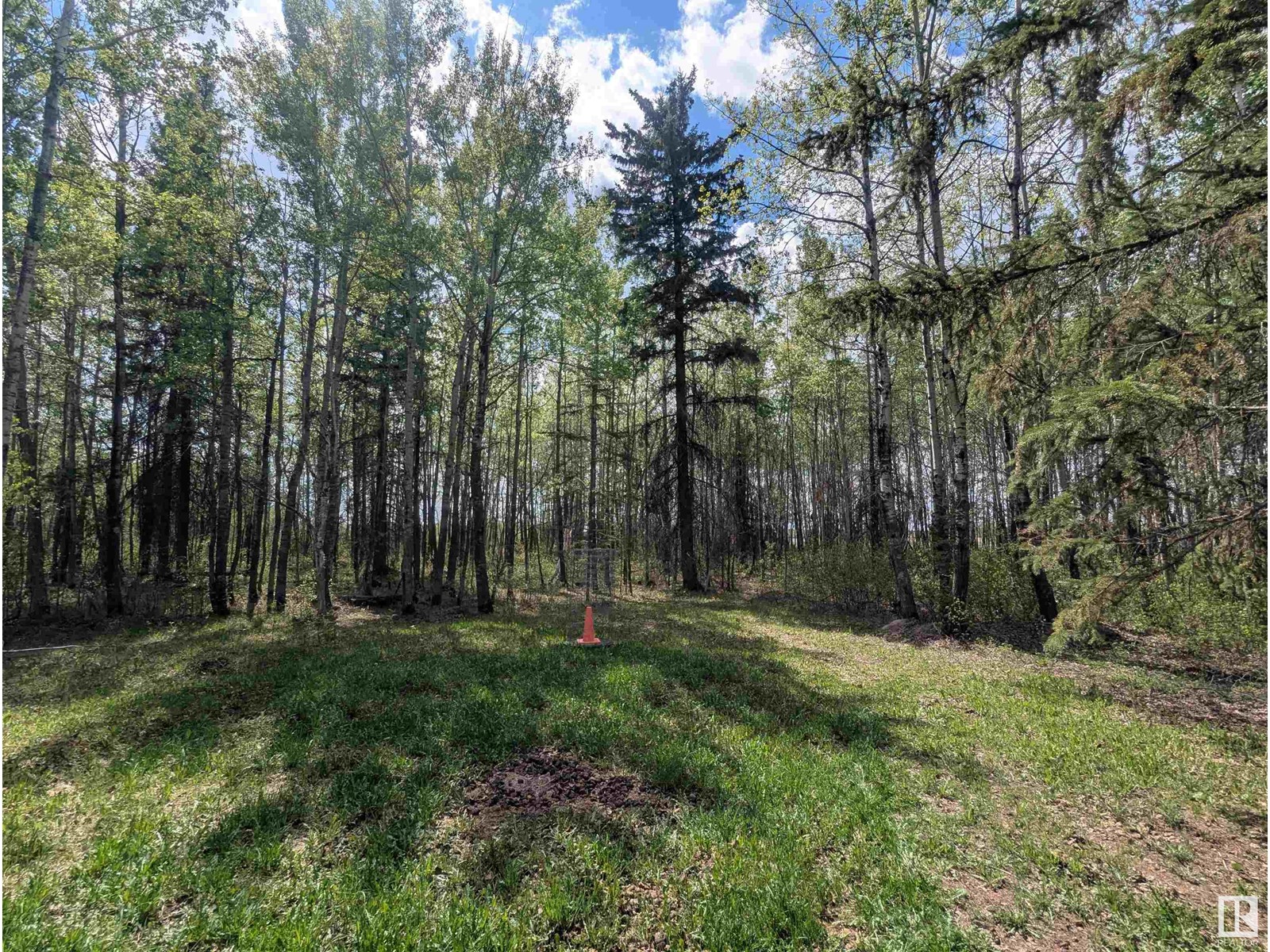 21535 Twp Road 510, Rural Leduc County, Alberta  T0B 3M2 - Photo 7 - E4439329