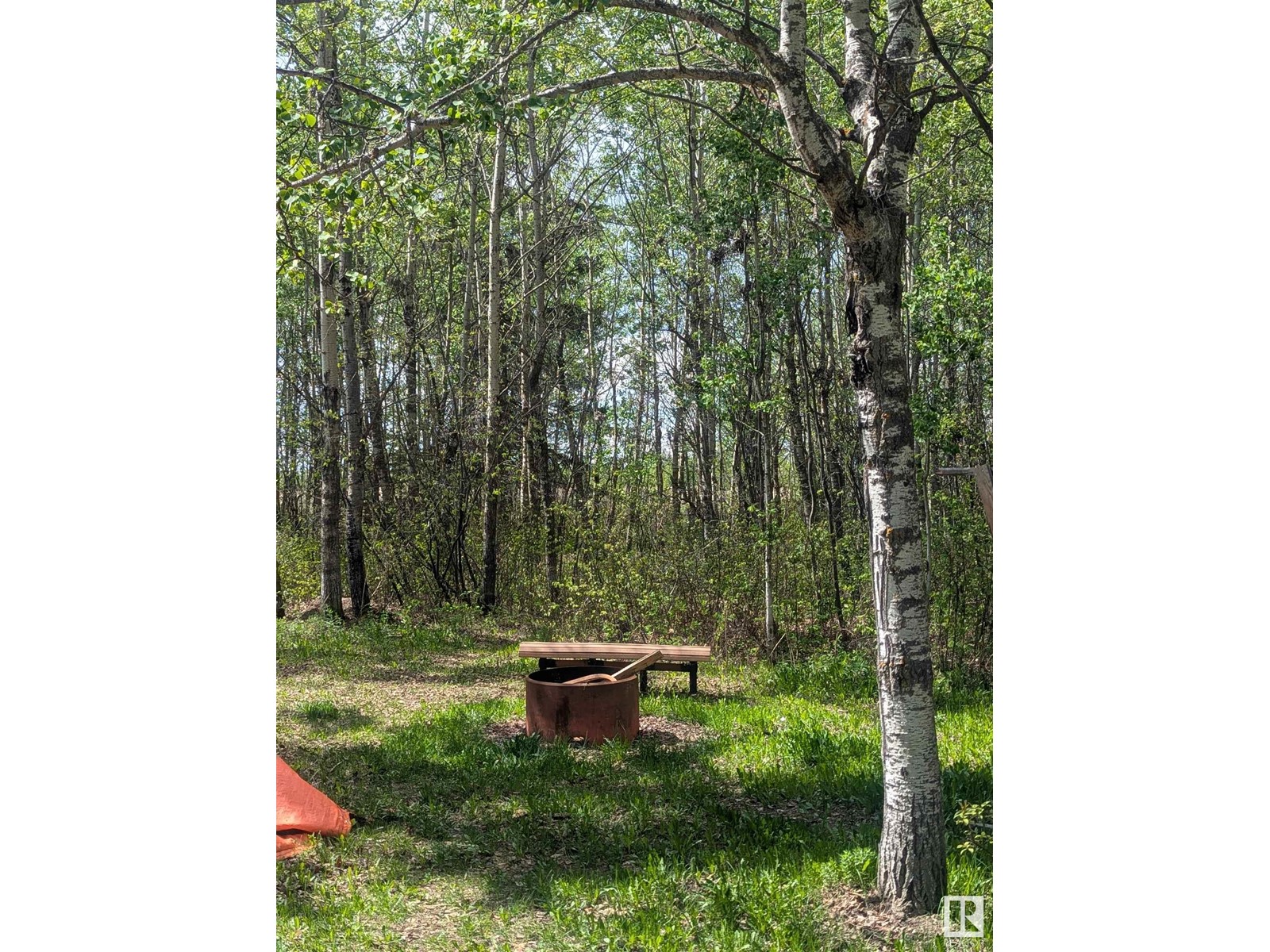 21535 Twp Road 510, Rural Leduc County, Alberta  T0B 3M2 - Photo 8 - E4439329