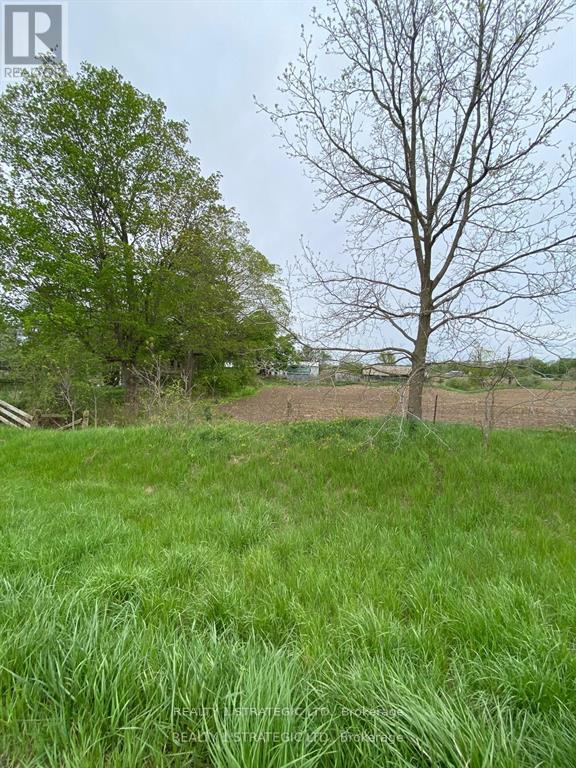 3573 Putnam Road, Thames Centre, Ontario  N0L 1V0 - Photo 6 - X12183342