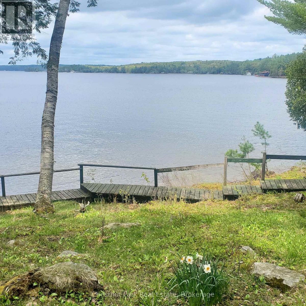 76 Tobin Island, Muskoka Lakes (Medora), Ontario  P0B 1J0 - Photo 3 - X12152765