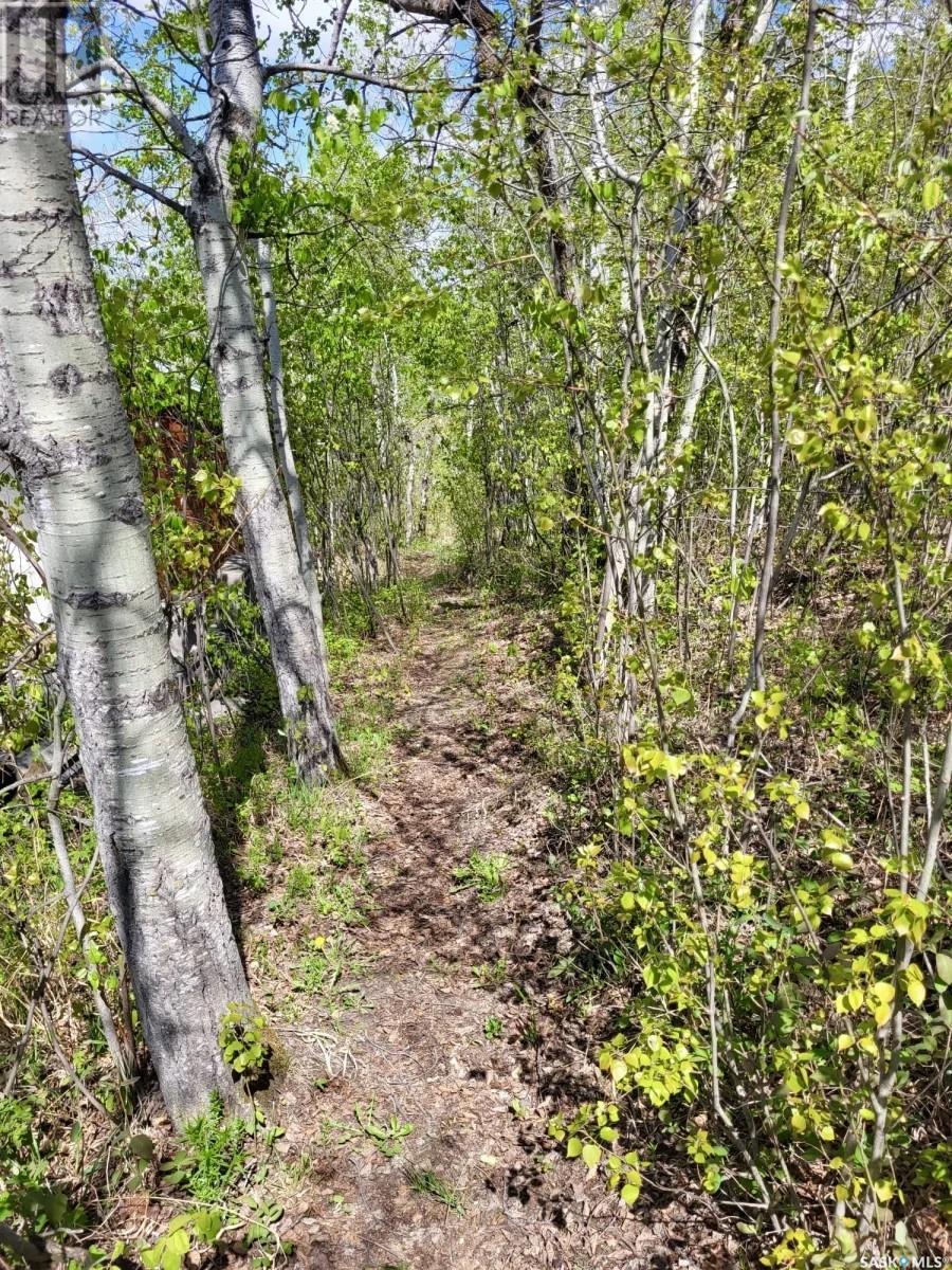 1 Lakeshore Place, Echo Bay, Saskatchewan  S0J 2G0 - Photo 31 - SK007690