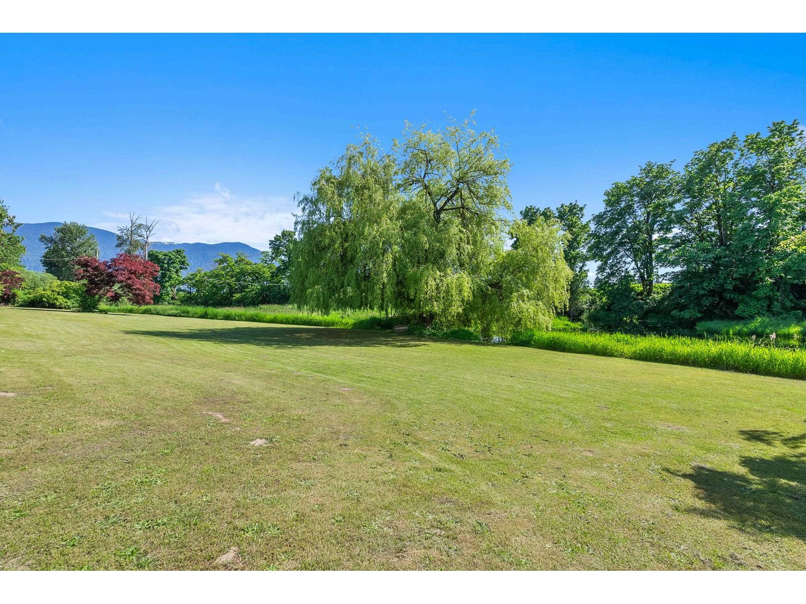 49585 Camp River Road, Rosedale, Chilliwack, British Columbia  V2P 6H4 - Photo 33 - C8067865