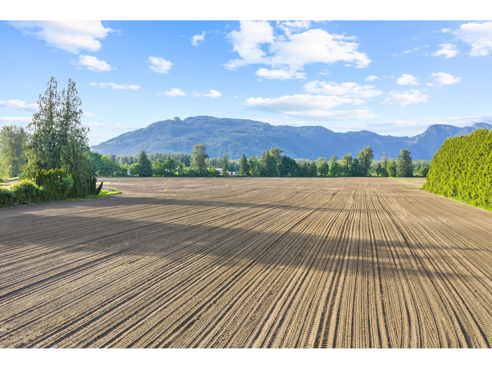 49585 Camp River Road, Rosedale, Chilliwack, British Columbia  V2P 6H4 - Photo 16 - C8067865