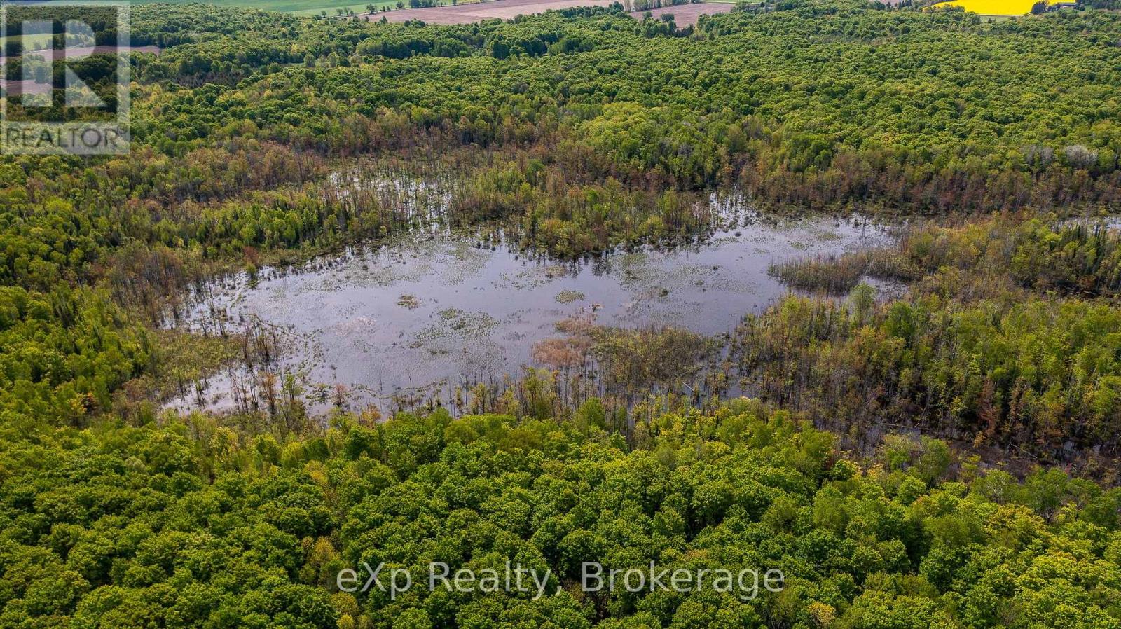 Lt16-18 Con 13 Keppel - Concession Rd 14, Georgian Bluffs, Ontario  N0H 2K0 - Photo 10 - X12183532