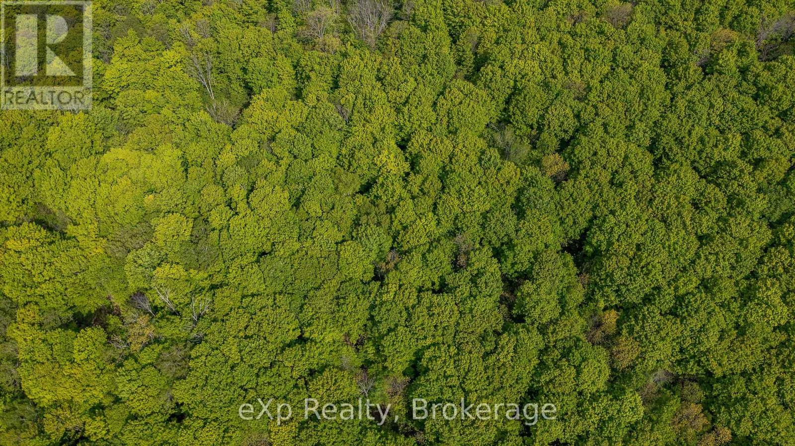 Lt16-18 Con 13 Keppel - Concession Rd 14, Georgian Bluffs, Ontario  N0H 2K0 - Photo 14 - X12183532