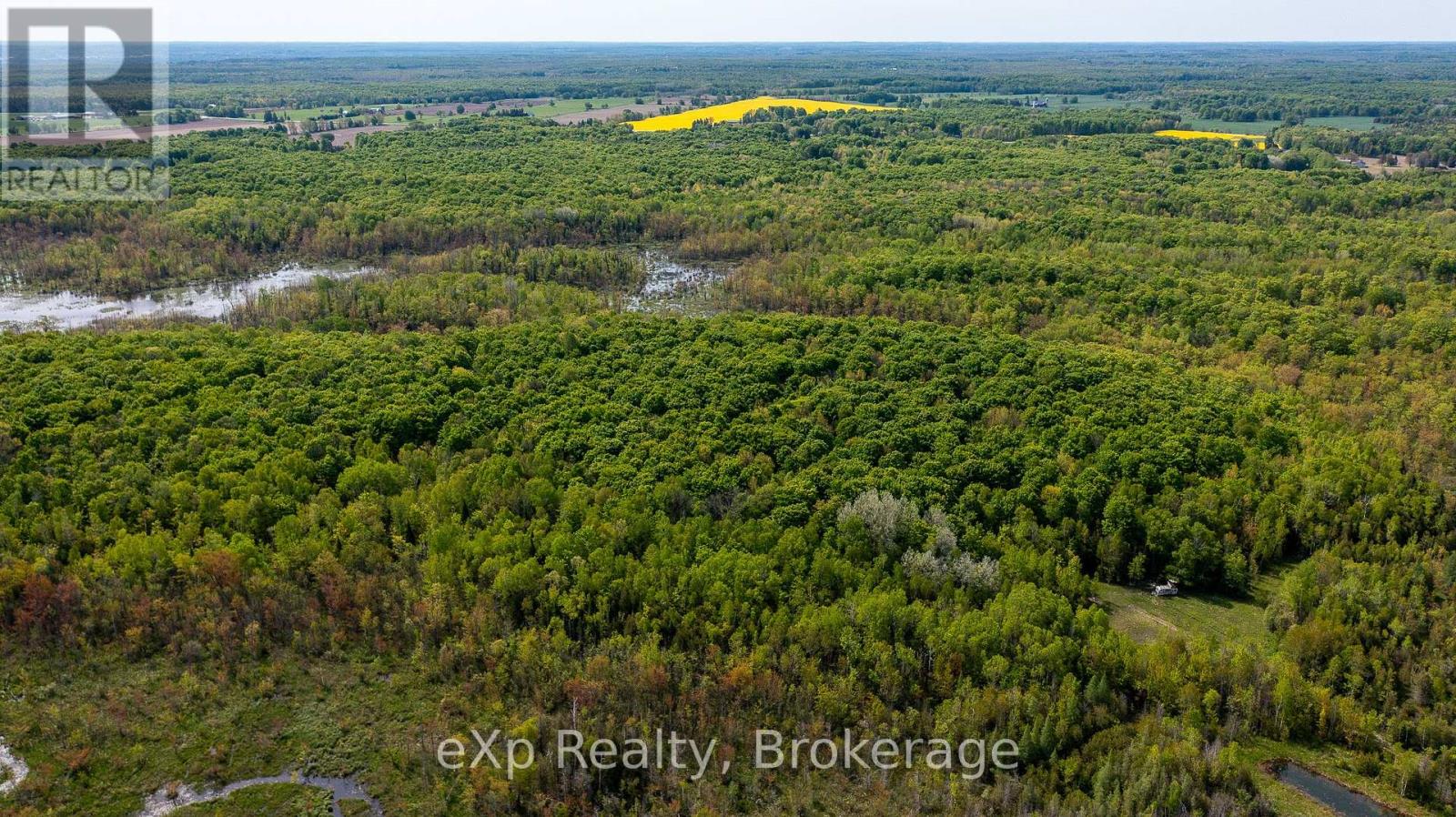 Lt16-18 Con 13 Keppel - Concession Rd 14, Georgian Bluffs, Ontario  N0H 2K0 - Photo 6 - X12183532