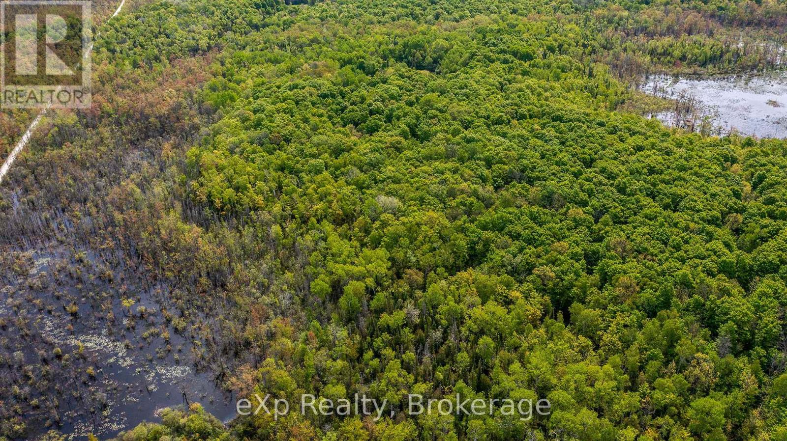 Lt16-18 Con 13 Keppel - Concession Rd 14, Georgian Bluffs, Ontario  N0H 2K0 - Photo 8 - X12183532