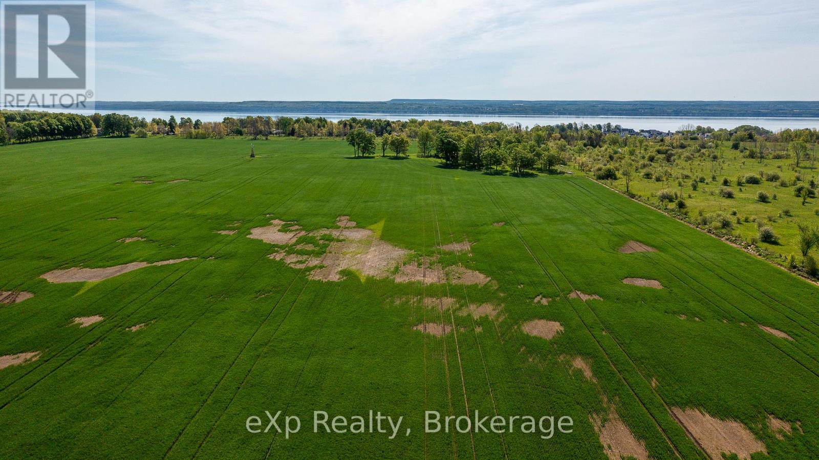 Ptlt 31 Con 2 Sarawak, Grey Road 1, Georgian Bluffs, Ontario  N0H 1S0 - Photo 6 - X12183533