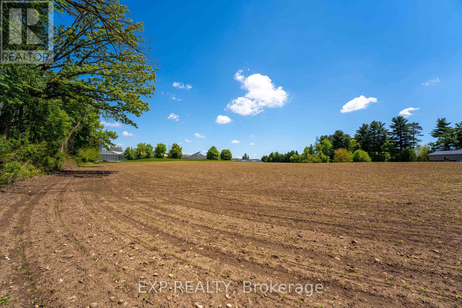 1 Seventh Concession Road, Brant, Ontario  N0E 1A0 - Photo 5 - X12183522