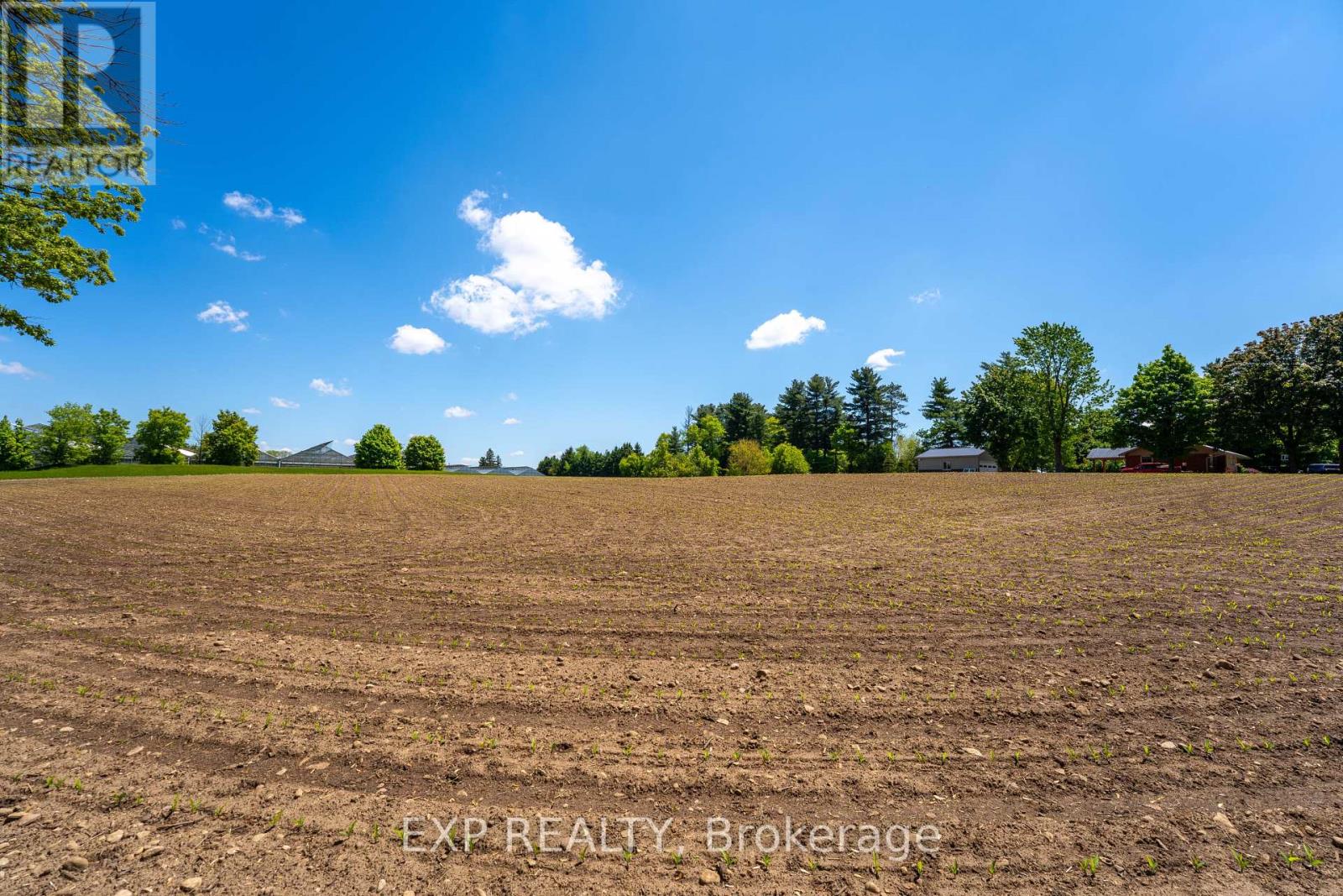 1 Seventh Concession Road, Brant, Ontario  N0E 1A0 - Photo 6 - X12183522