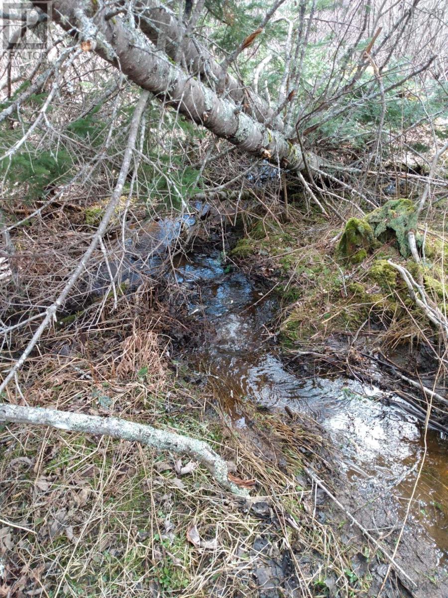 Cameron Road, Iron Mines, Nova Scotia  B0E 3M0 - Photo 10 - 202507119