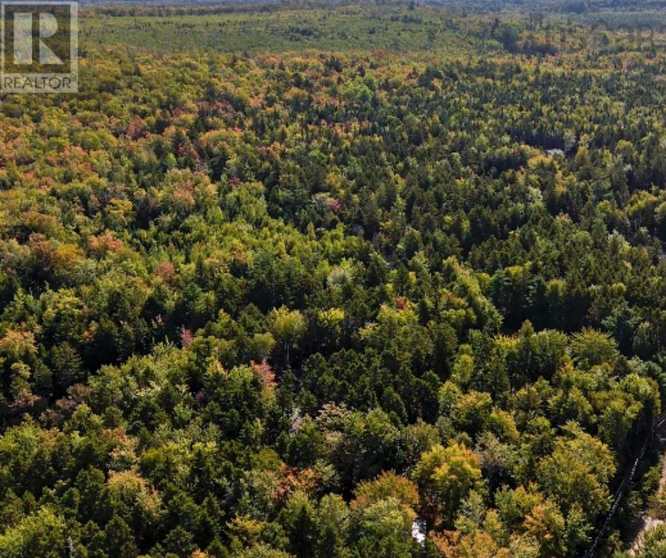 Lot 87-1 Falkenham Road, East Dalhousie, Nova Scotia  B0R 1H0 - Photo 9 - 202506922