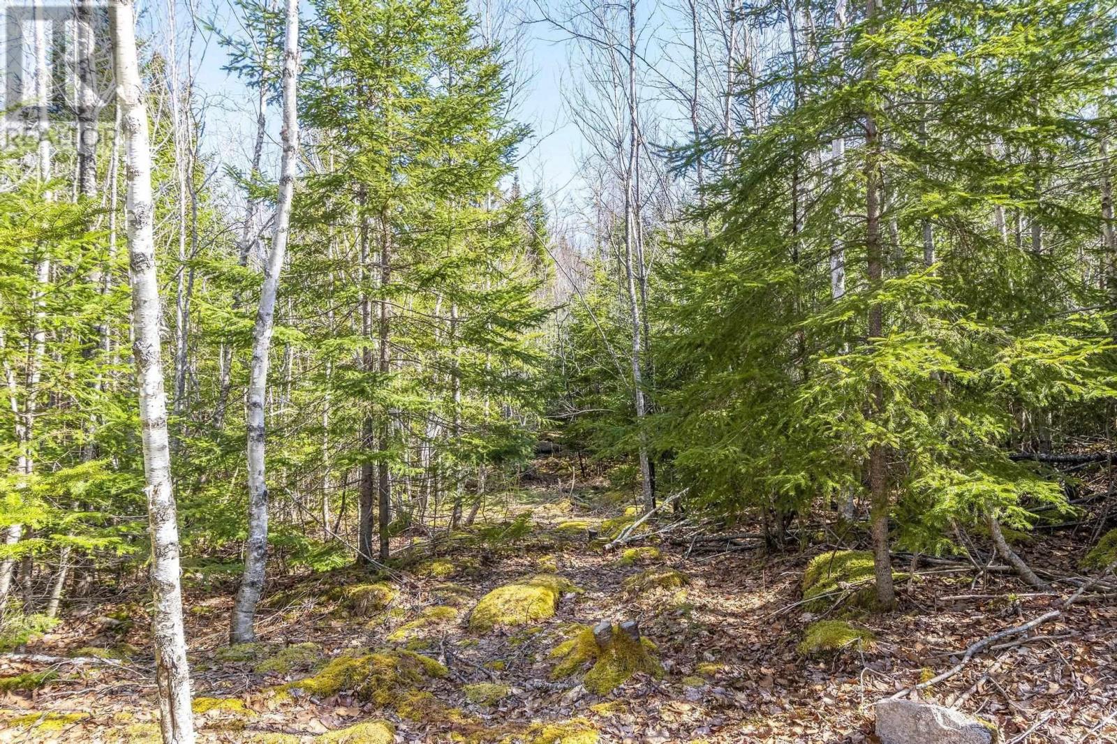 Lot 87-1 Falkenham Road, East Dalhousie, Nova Scotia  B0R 1H0 - Photo 47 - 202506922