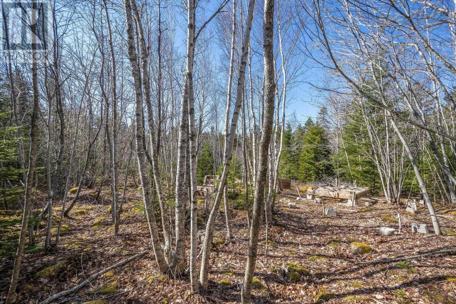 Lot 87-1 Falkenham Road, East Dalhousie, Nova Scotia  B0R 1H0 - Photo 48 - 202506922
