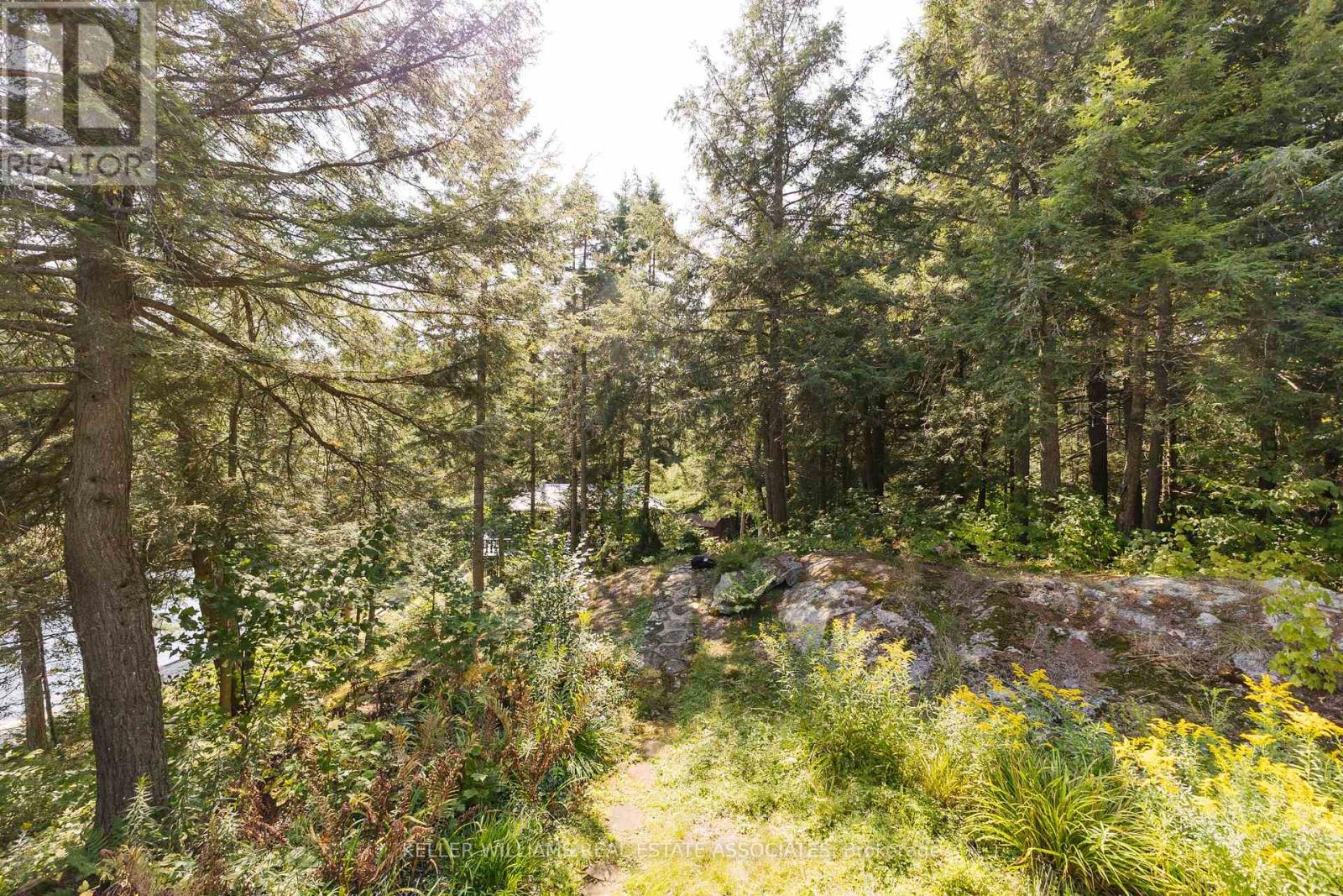 6415 Kennisis Lake Road, Dysart Et Al, Ontario  K0M 1S0 - Photo 8 - X12183659