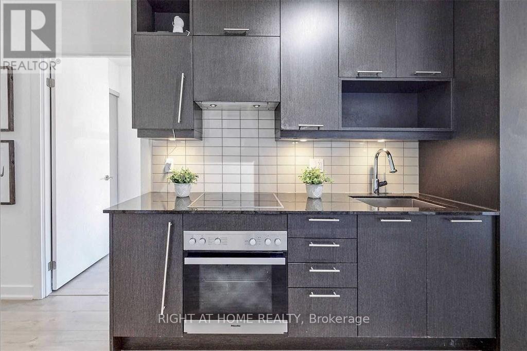 602 - 199 Richmond Street W, Toronto (Waterfront Communities), Ontario  M5V 0H4 - Photo 8 - C12183693