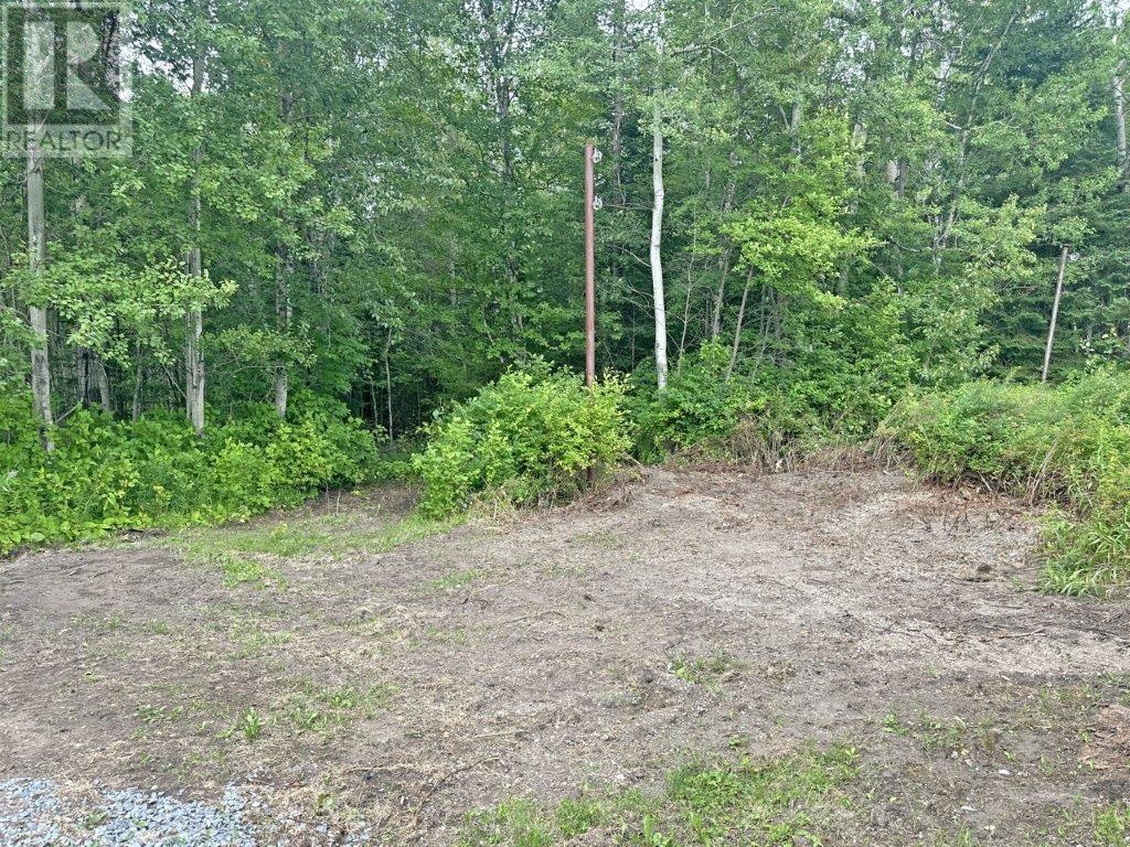 77 Brompton Road, Red Rock, Ontario  P0T 2P0 - Photo 41 - TB251429