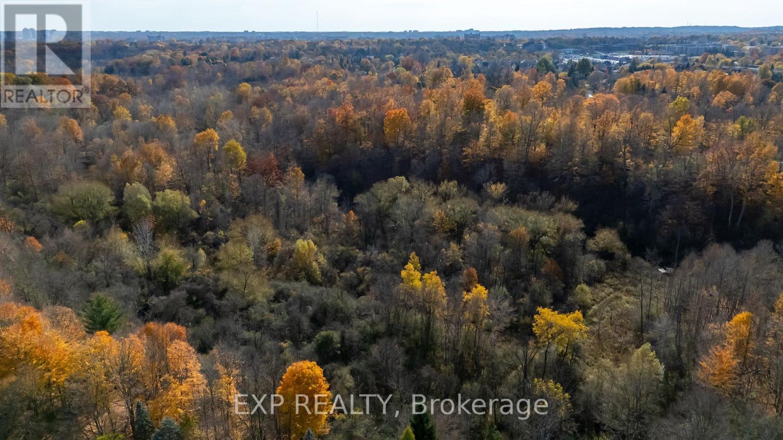 22 Glenridge Crescent, London North, Ontario  N6G 4W5 - Photo 47 - X12164085