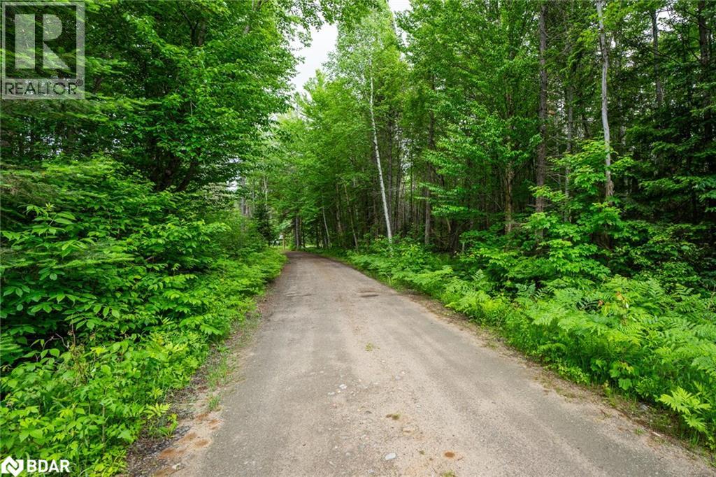 2661 Highway 518 E, Kearney, Ontario P0A 1M0 - Photo 13 - 40735127