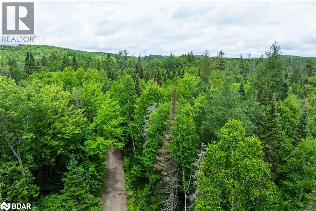 2661 Highway 518 E, Kearney, Ontario P0A 1M0 - Photo 6 - 40735127