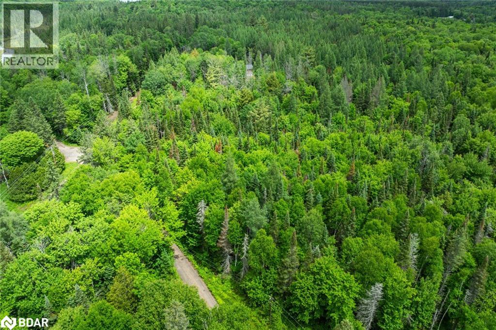 2661 Highway 518 E, Kearney, Ontario P0A 1M0 - Photo 8 - 40735127