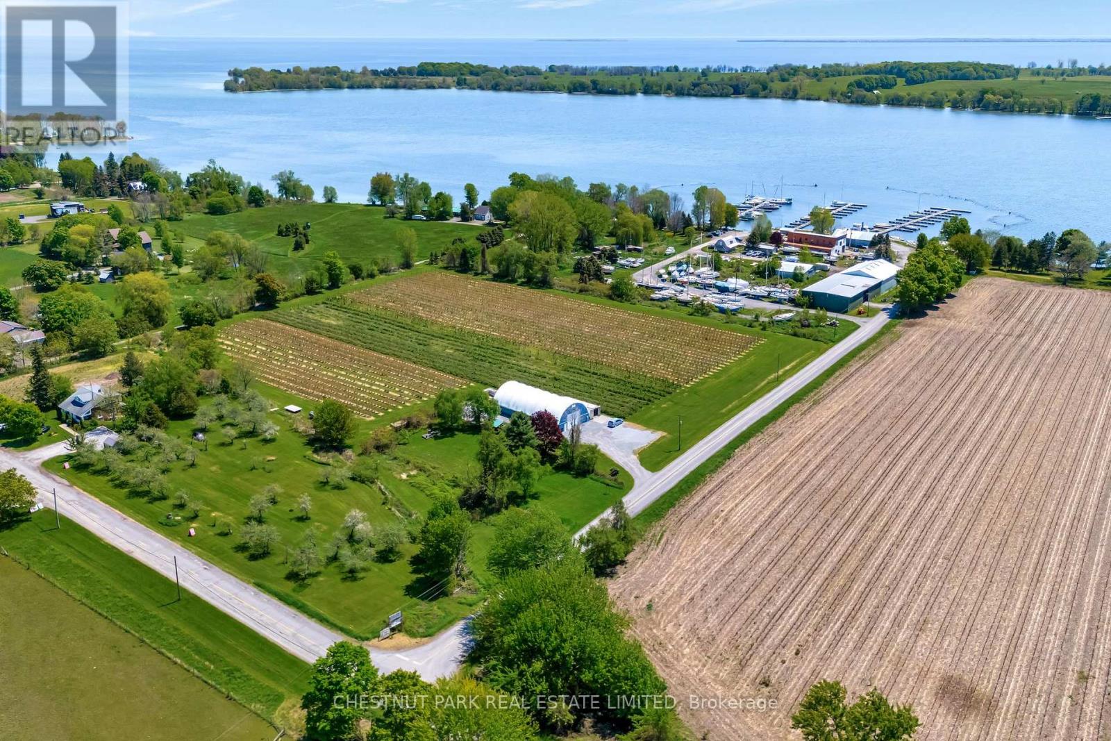 Between 15 & 51 County Road 38, Prince Edward County, Ontario  K0K 2T0 - Photo 4 - X12184008