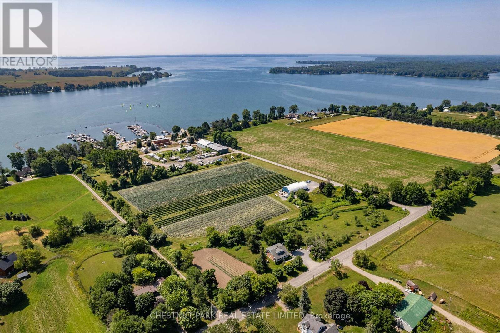 Between 15 & 51 County Road 38, Prince Edward County, Ontario  K0K 2T0 - Photo 5 - X12184008