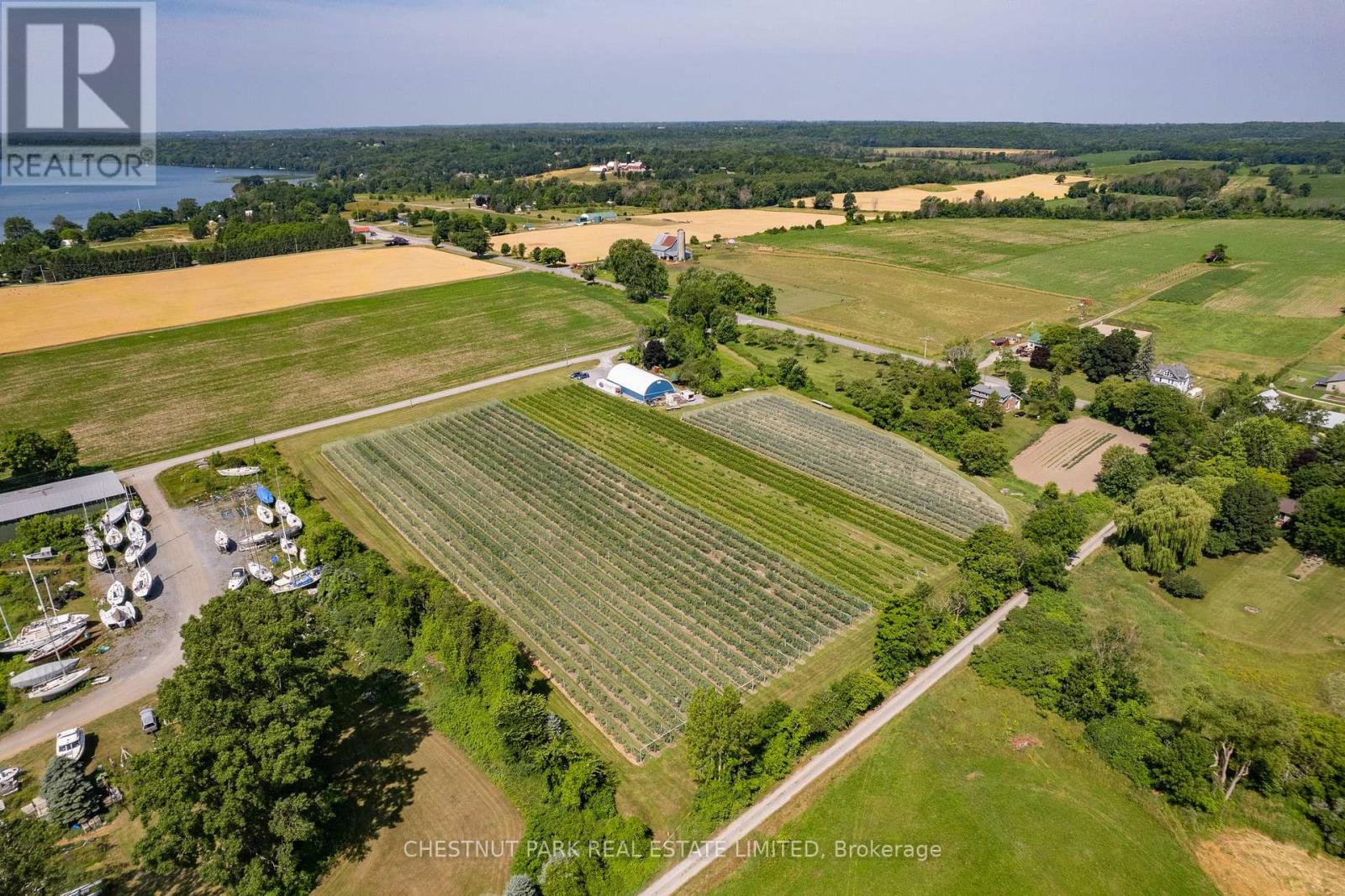 Between 15 & 51 County Road 38, Prince Edward County, Ontario  K0K 2T0 - Photo 8 - X12184008