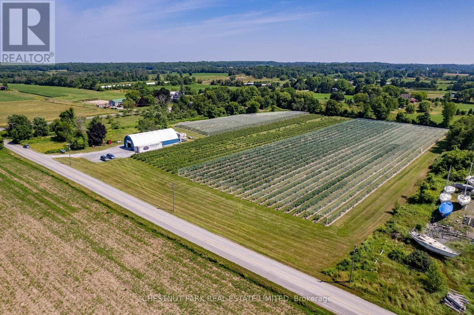 Between 15 & 51 County Road 38, Prince Edward County, Ontario  K0K 2T0 - Photo 9 - X12184008