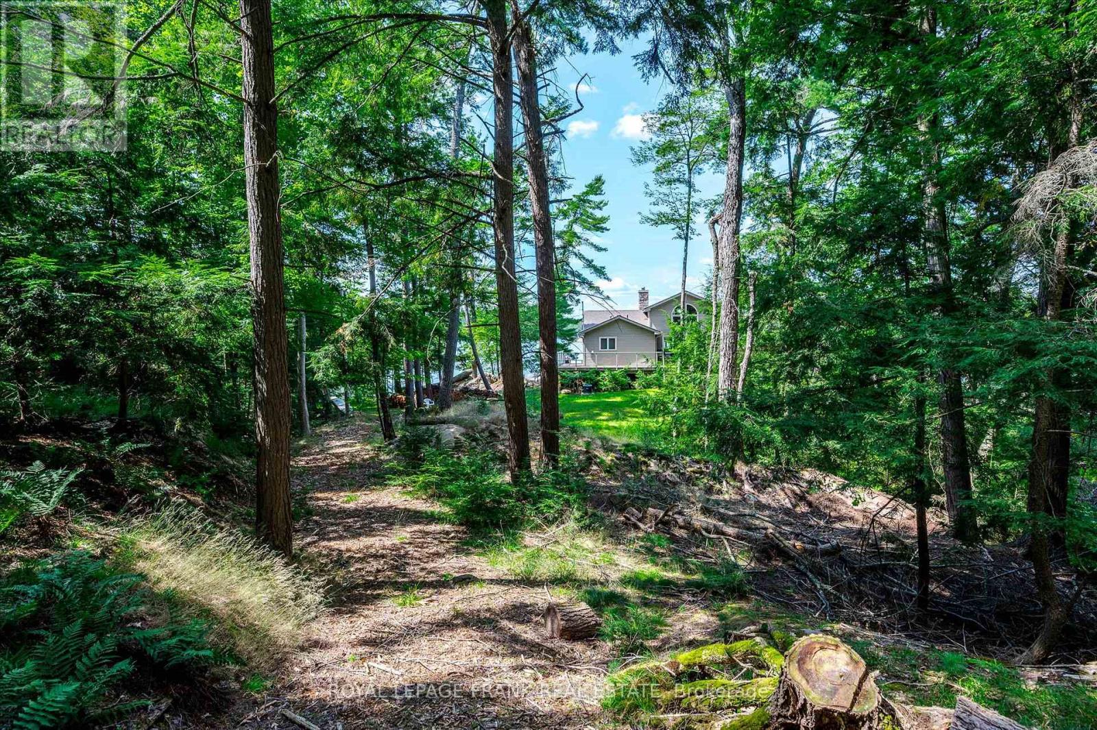 484 Juniper Island, Douro-Dummer, Ontario K0L 2C0 - Photo 38 - X12184091