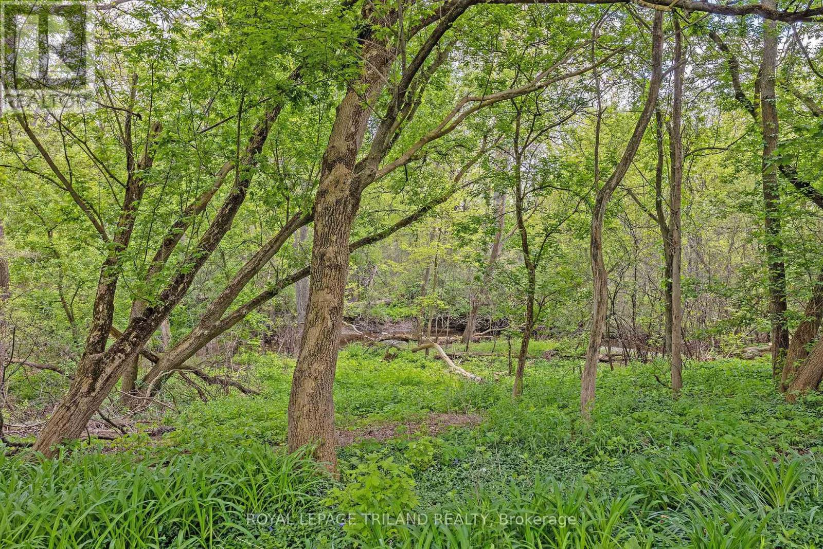 23 - 683 Windermere Road, London North, Ontario  N5X 3T9 - Photo 31 - X12184123