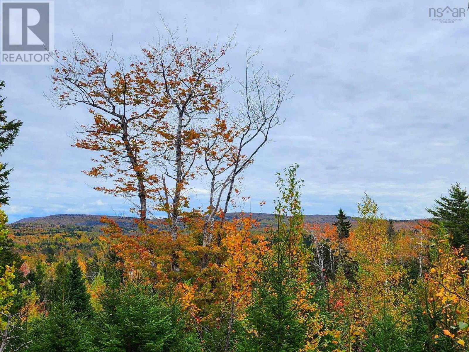Lot 3b Highway 4, Telford, Nova Scotia  B0K 1G0 - Photo 15 - 202425762