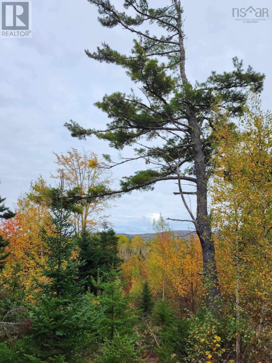 Lot 3b Highway 4, Telford, Nova Scotia  B0K 1G0 - Photo 6 - 202425762