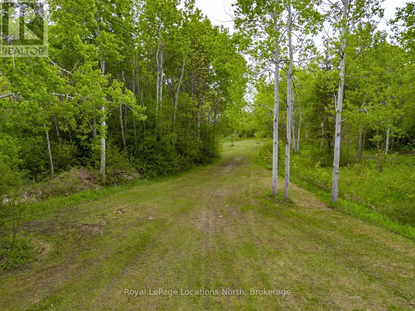 48 Toner Street, Collingwood, Ontario  L0M 1S0 - Photo 40 - S12184274