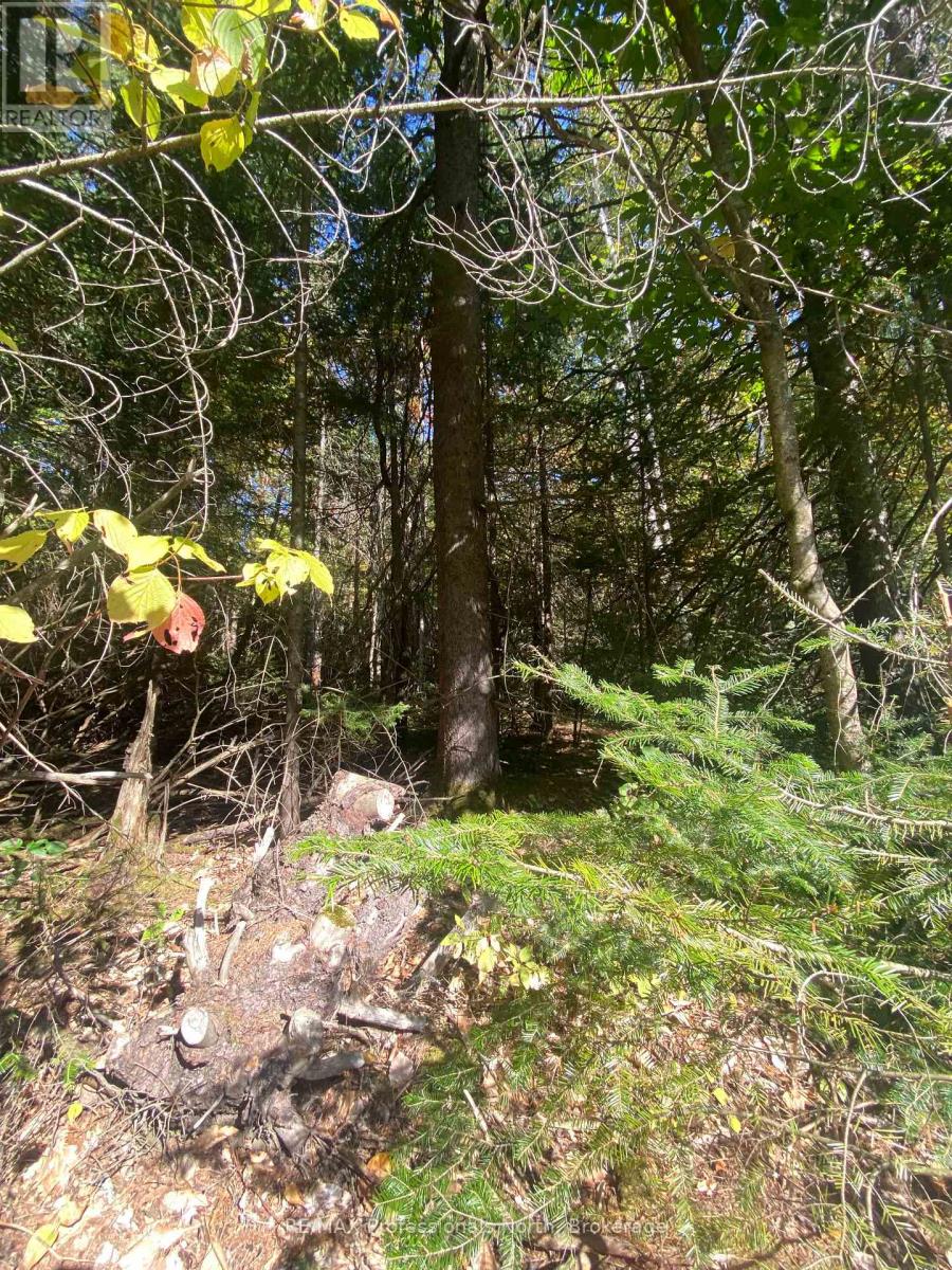 0-1 So Ho Mish Road, Perry, Ontario  P0A 1J0 - Photo 4 - X12184260