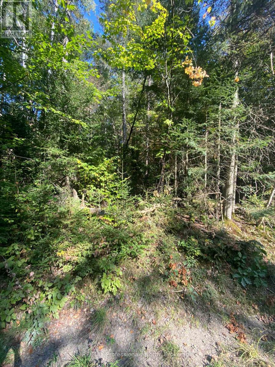 0-1 So Ho Mish Road, Perry, Ontario  P0A 1J0 - Photo 6 - X12184260