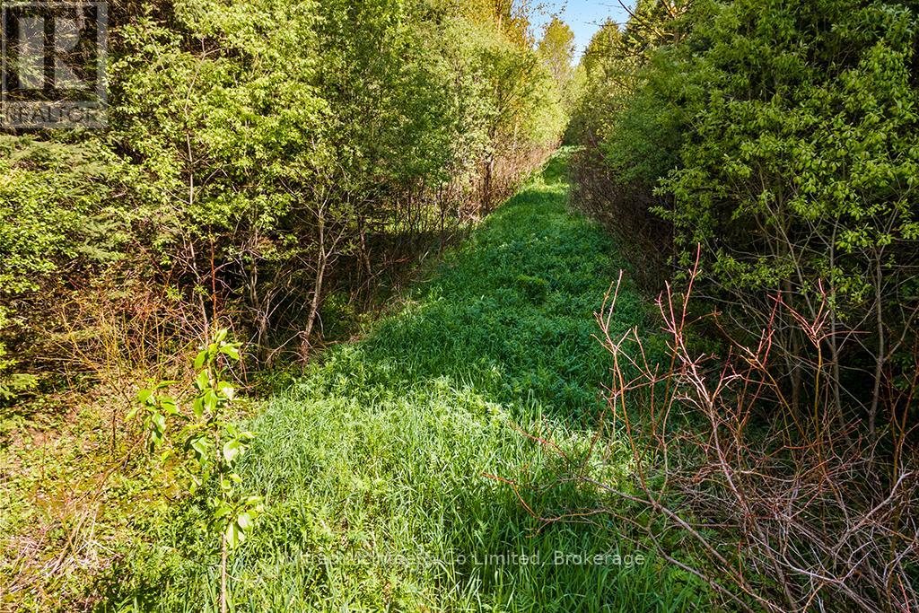 8446 Line 12, Wellington North, Ontario  N0G 1N0 - Photo 24 - X12013326