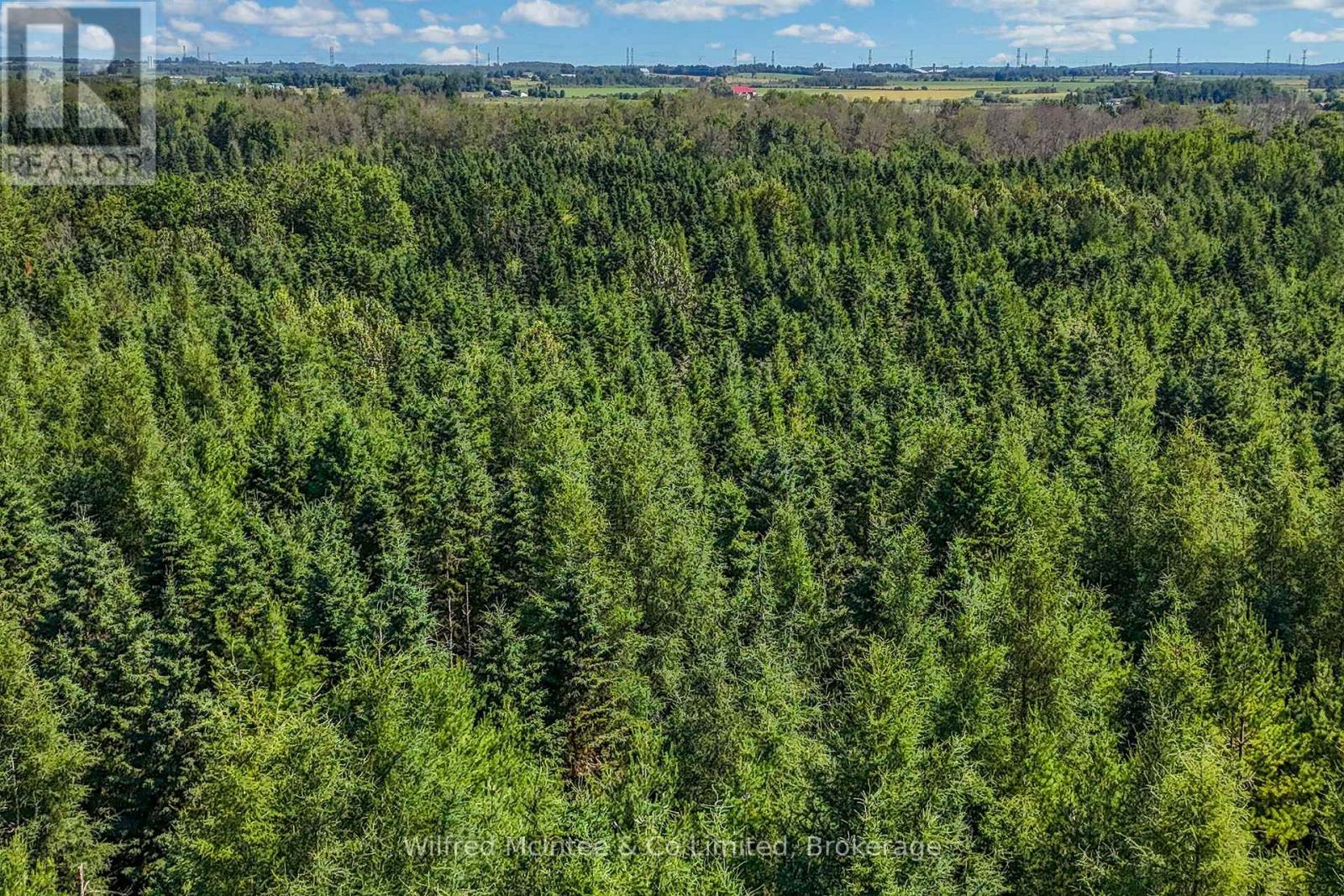 8446 Line 12, Wellington North, Ontario  N0G 1N0 - Photo 27 - X12013326