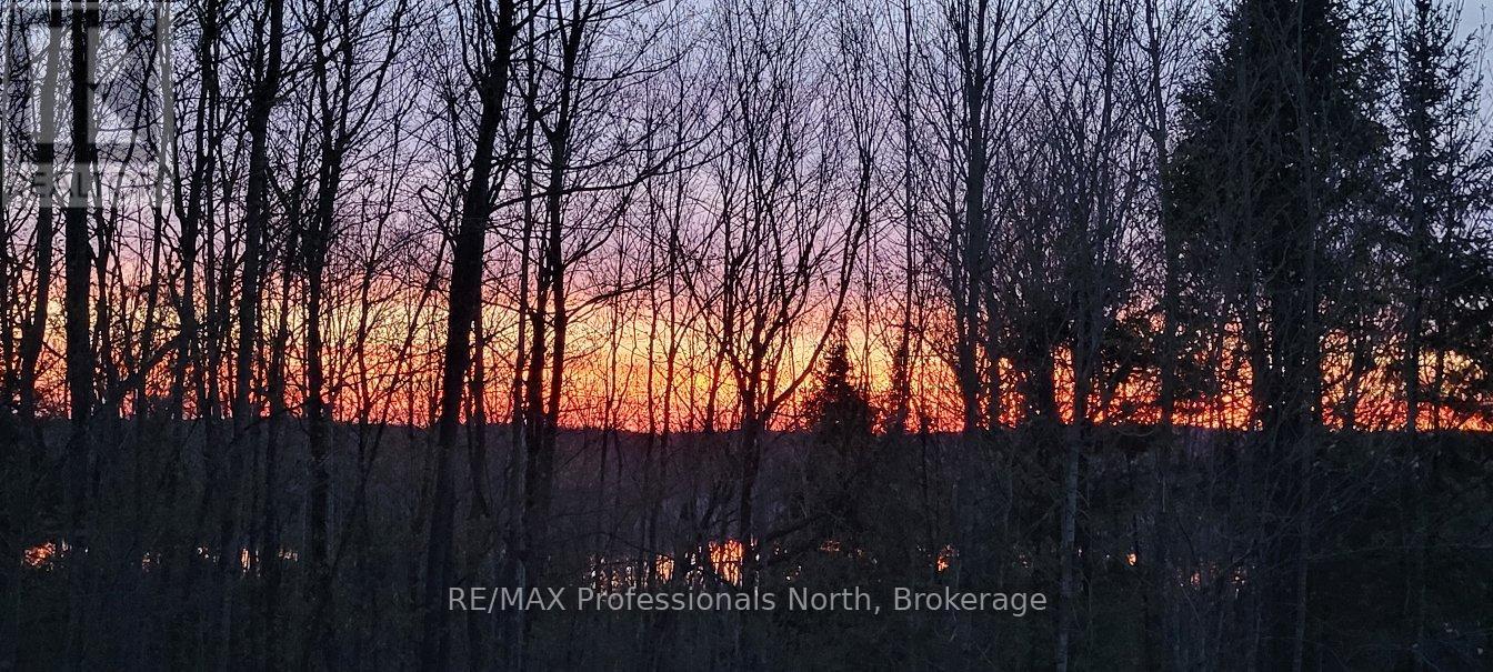 1145 Chelsea Lane, Algonquin Highlands, Ontario  K0M 1J1 - Photo 23 - X12175590