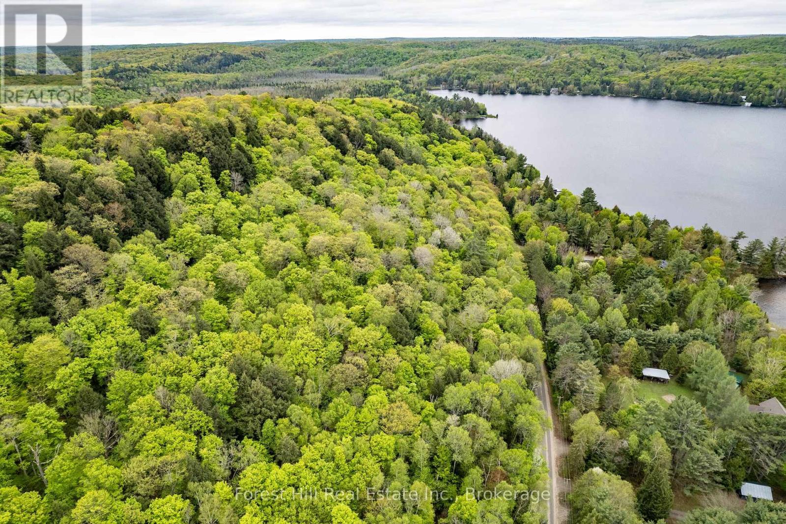 1175 Paint Lake Road, Lake Of Bays, Ontario  P0A 1E0 - Photo 12 - X12164874