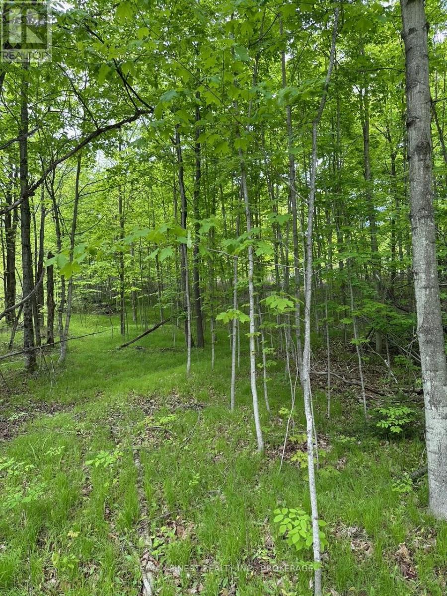 17158 Road 509, Frontenac, Ontario  K0H 2P0 - Photo 3 - X12184433