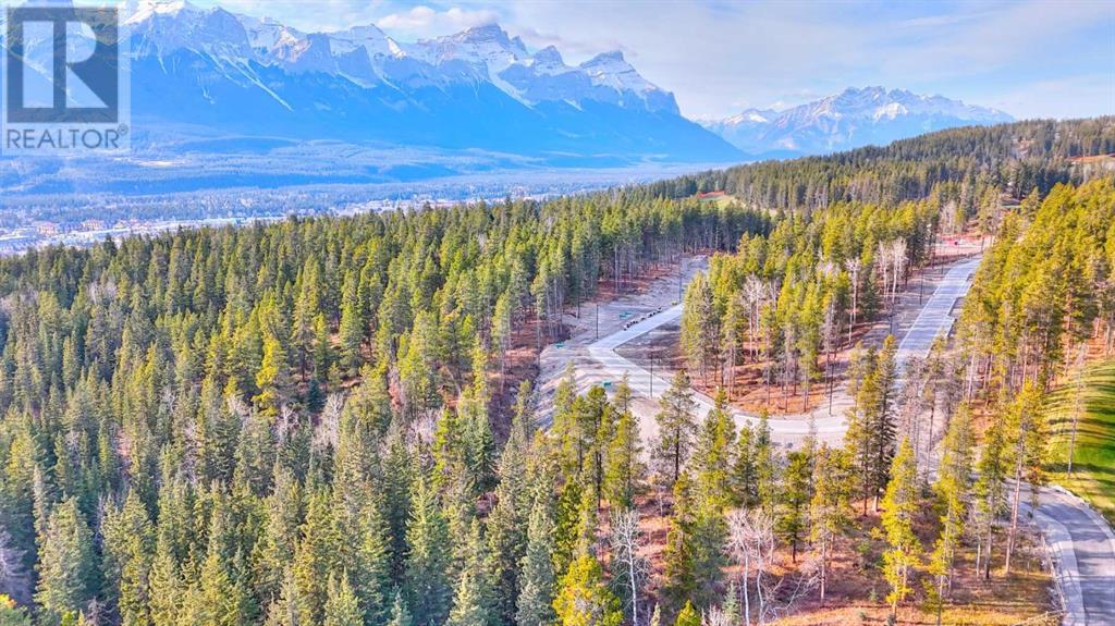 442 Mountain Tranquility Place, Canmore, Alberta  x0x 0x0 - Photo 29 - A2199581