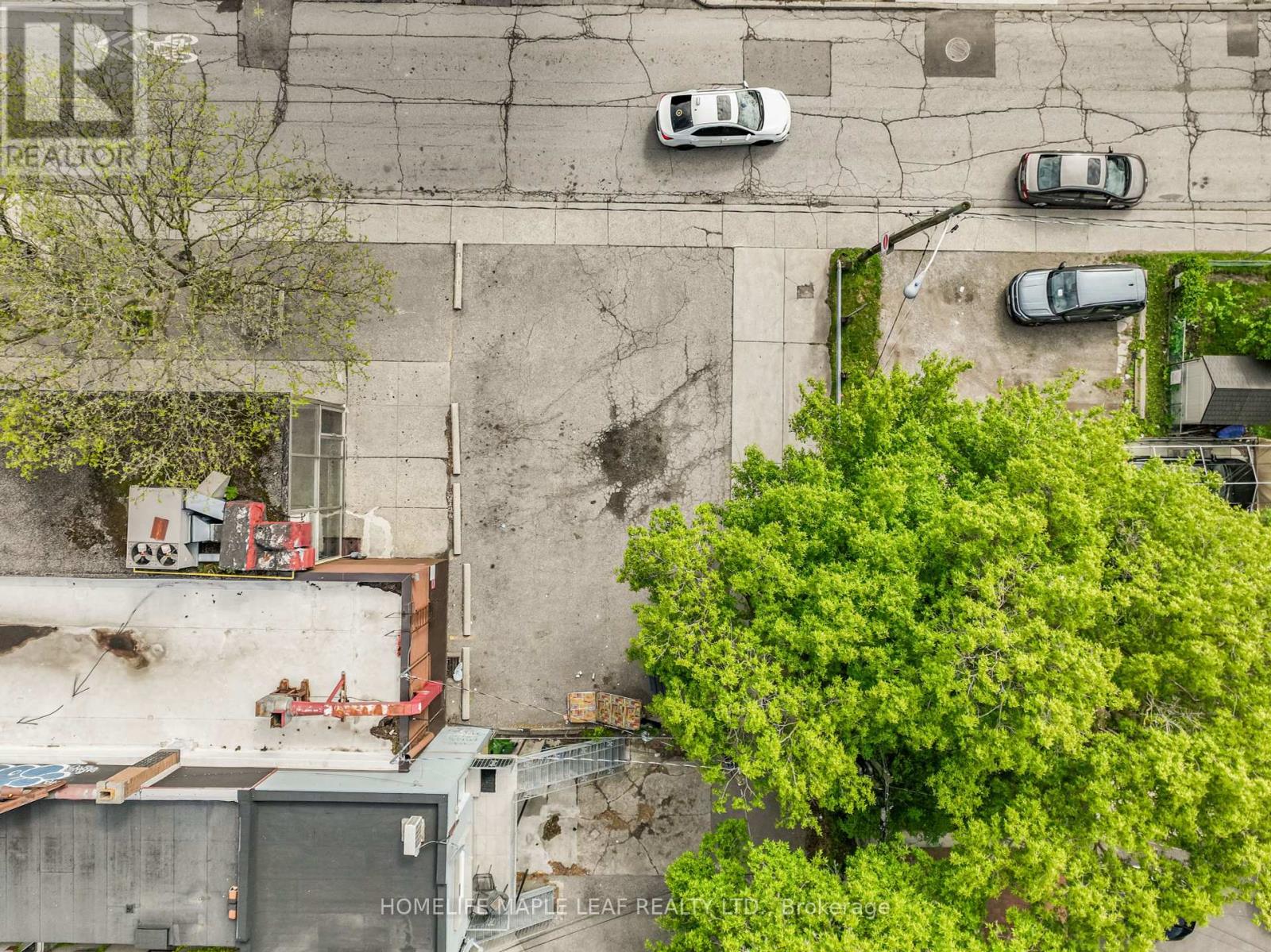 1471 Eglinton Avenue W, Toronto (Oakwood Village), Ontario  M6E 2G6 - Photo 41 - C12184759