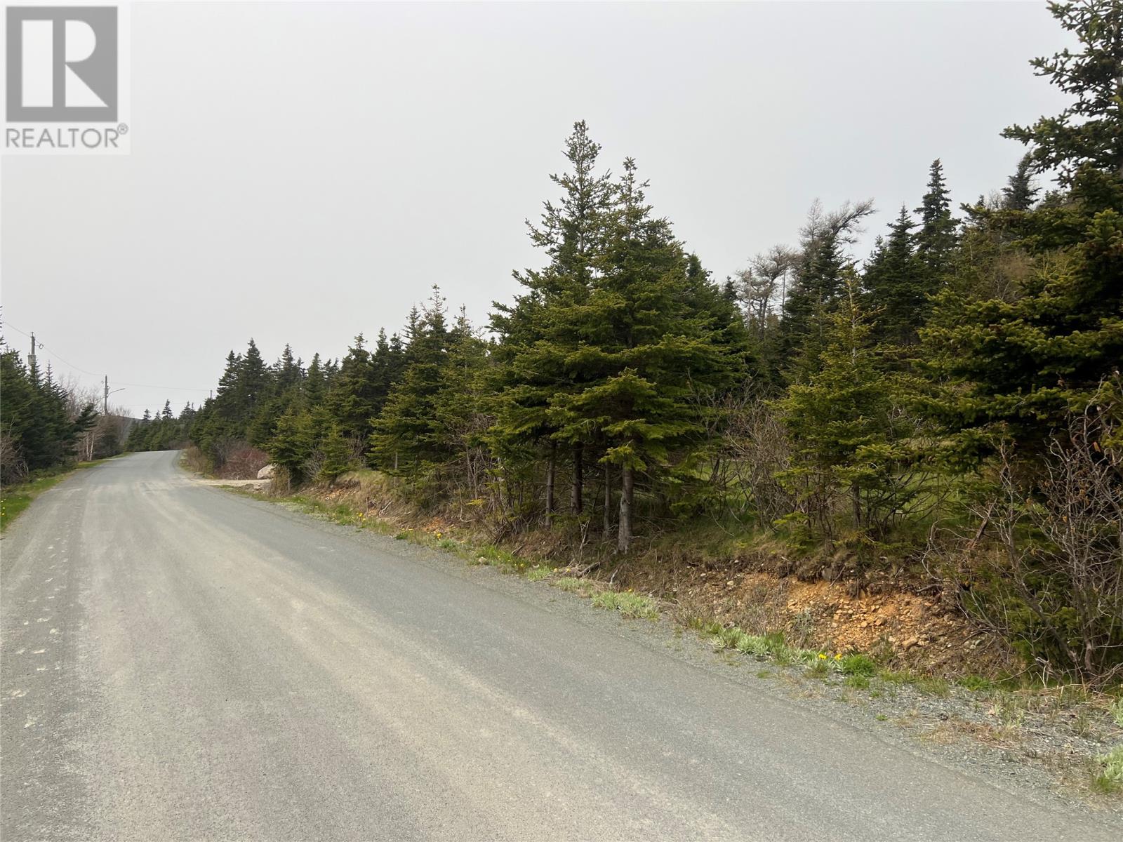 28-30 Wall's Road, Pouch Cove, Newfoundland & Labrador  A0A 3L0 - Photo 3 - 1285479