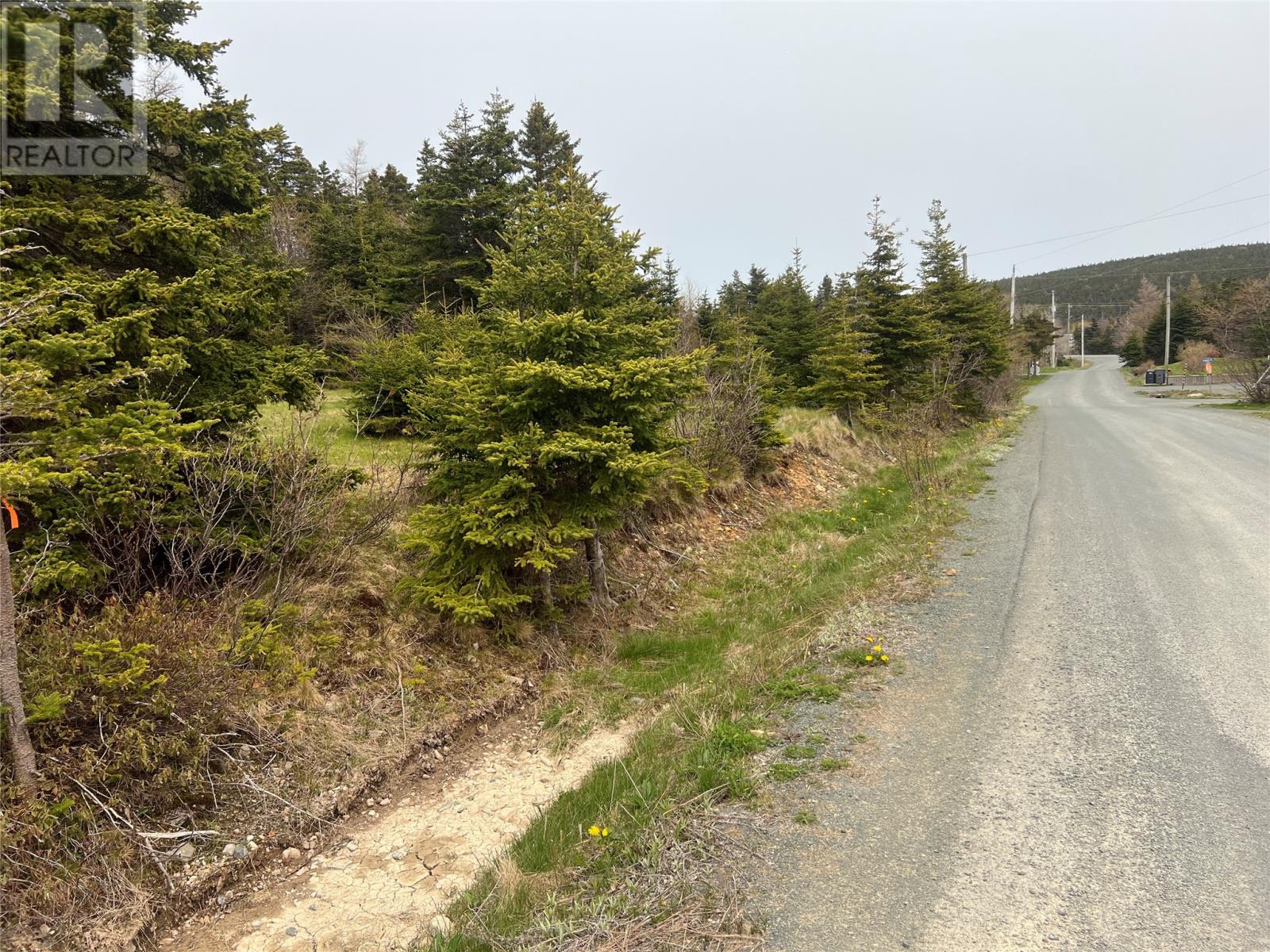 28-30 Wall's Road, Pouch Cove, Newfoundland & Labrador  A0A 3L0 - Photo 6 - 1285479