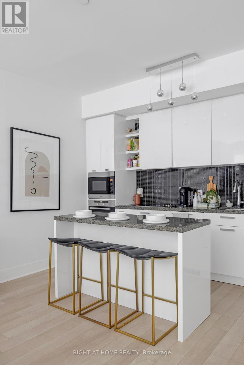 Th 101 - 32 Davenport Road, Toronto, Ontario  M5R 1H3 - Photo 16 - C12184938
