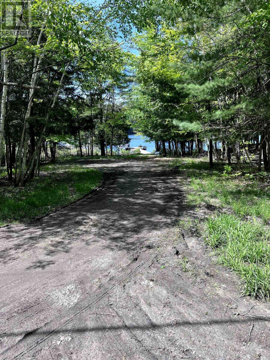 No 2 - 1242 Joe River Road, Muskoka Lakes (Medora), Ontario  P0B 1G0 - Photo 10 - X12184808