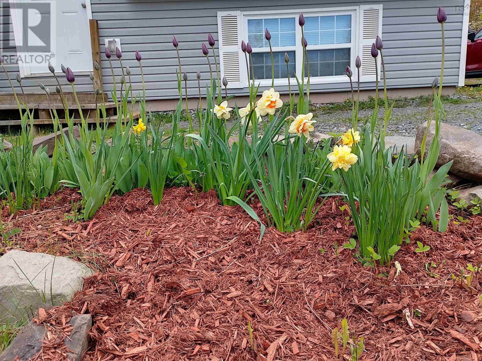 276 Linwood Harbour Road, East Tracadie, Nova Scotia