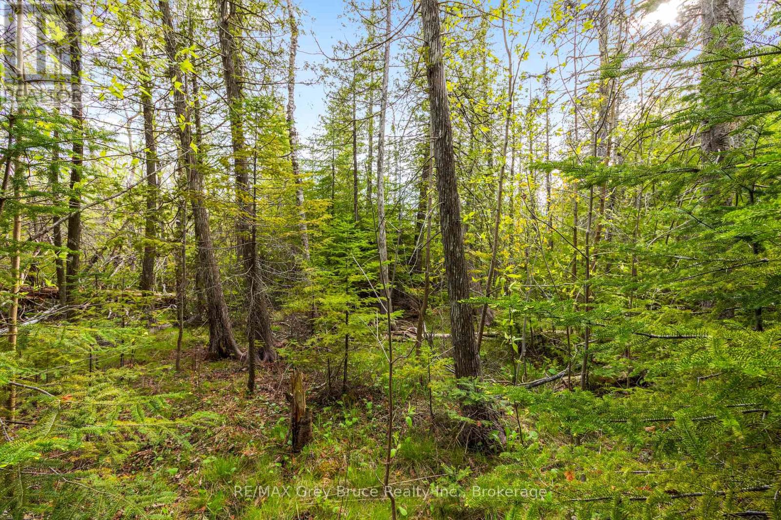 Lots 33 & 34 Big Tub Road, Northern Bruce Peninsula, Ontario  N0H 2R0 - Photo 4 - X12185053